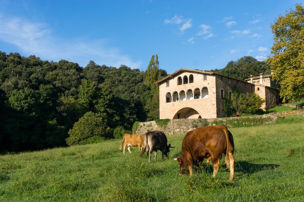 Casa Rural El Callis La Vall de Bianya Ngoại thất bức ảnh